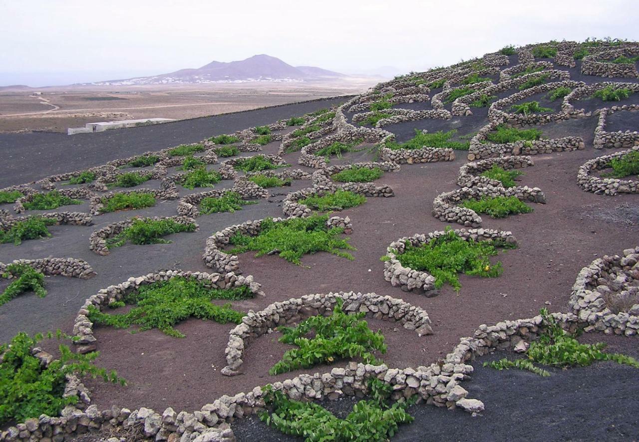 Casa El Gallo Teguise  Eksteriør bilde